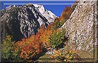 Leutasch - Herbstzeit - satte Farben - schöne Bergtouren - Fotos mit "Postkarten-Qualität"