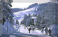 Weg zum Skilift Kreithlift/Weidach
